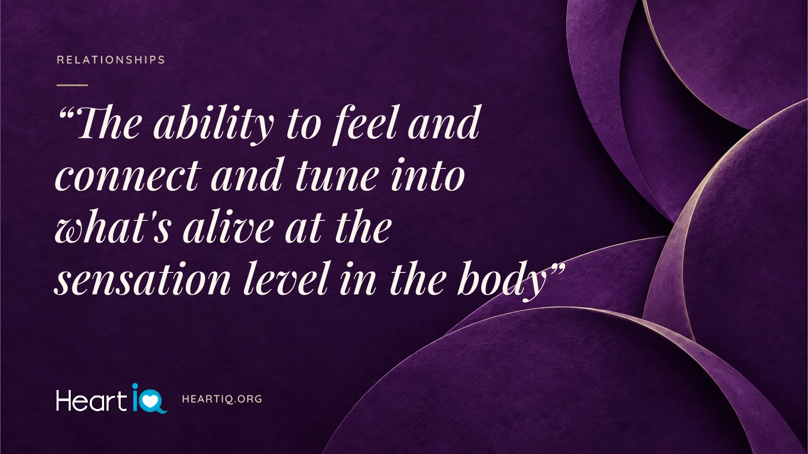 “The ability to feel and connect and tune into what's alive at the sensation level in the body” Heart iQ article illustration.