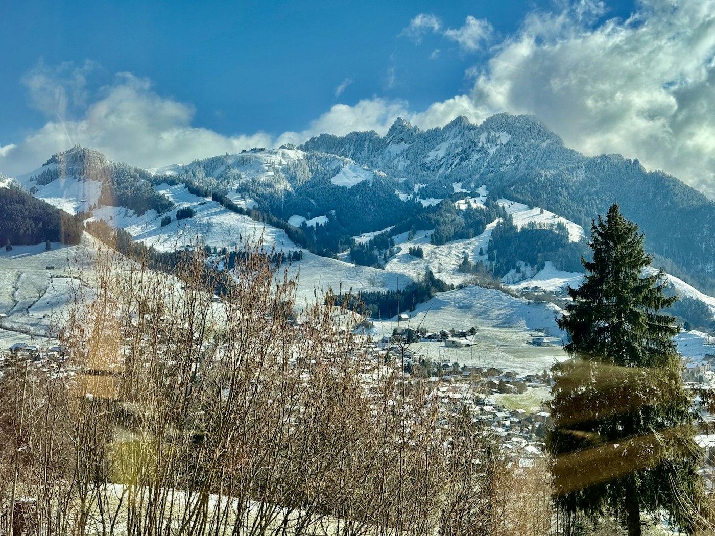 IMG_7991.jpeg
